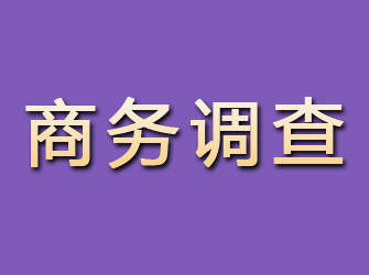 凤泉商务调查